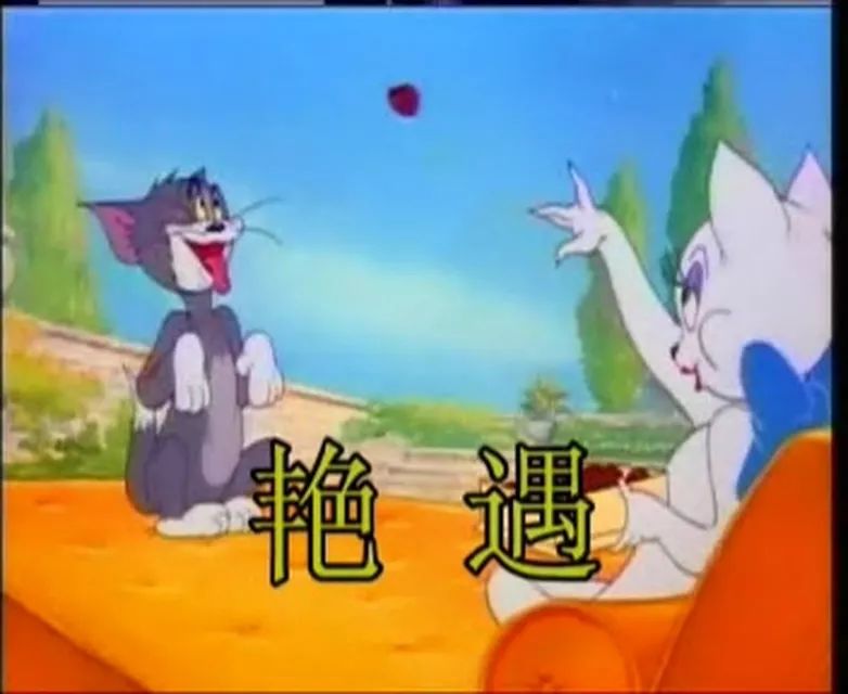 猫和老鼠四川方言版风车车哪里看,猫和老鼠四川风车车