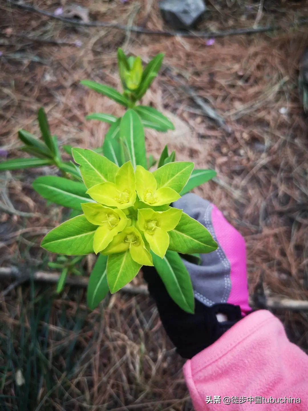 给我一个机会去爱你,给我一个机会让我去爱你