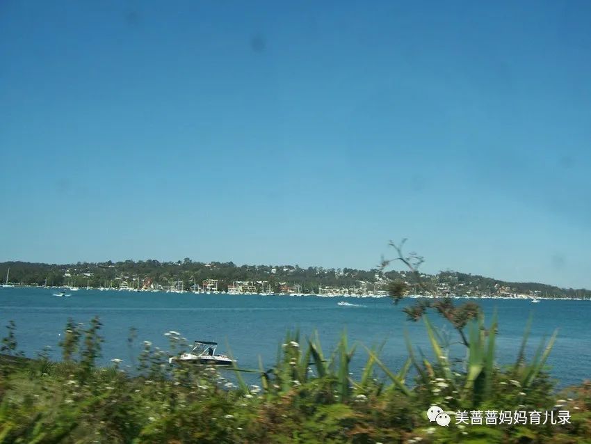 留金岁月安排饭局是第几集,流金岁月电视剧经典片段