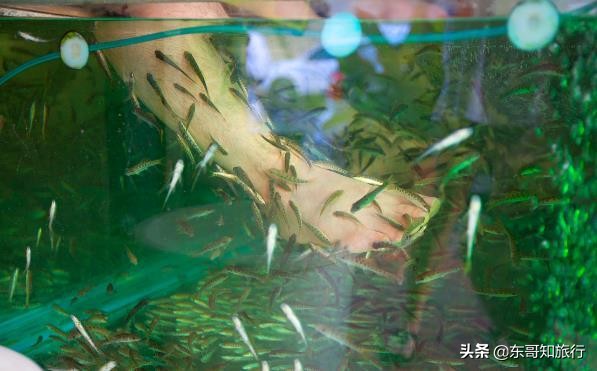 第一次去曼谷旅游最好的地方,第一次到泰国曼谷住在哪里