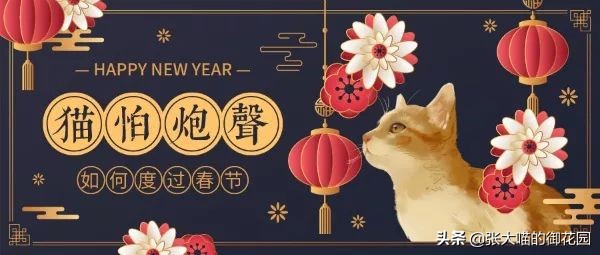 猫咪一听到鞭炮声就会害怕，春节怎么过？聪明的铲屎官都会这样做