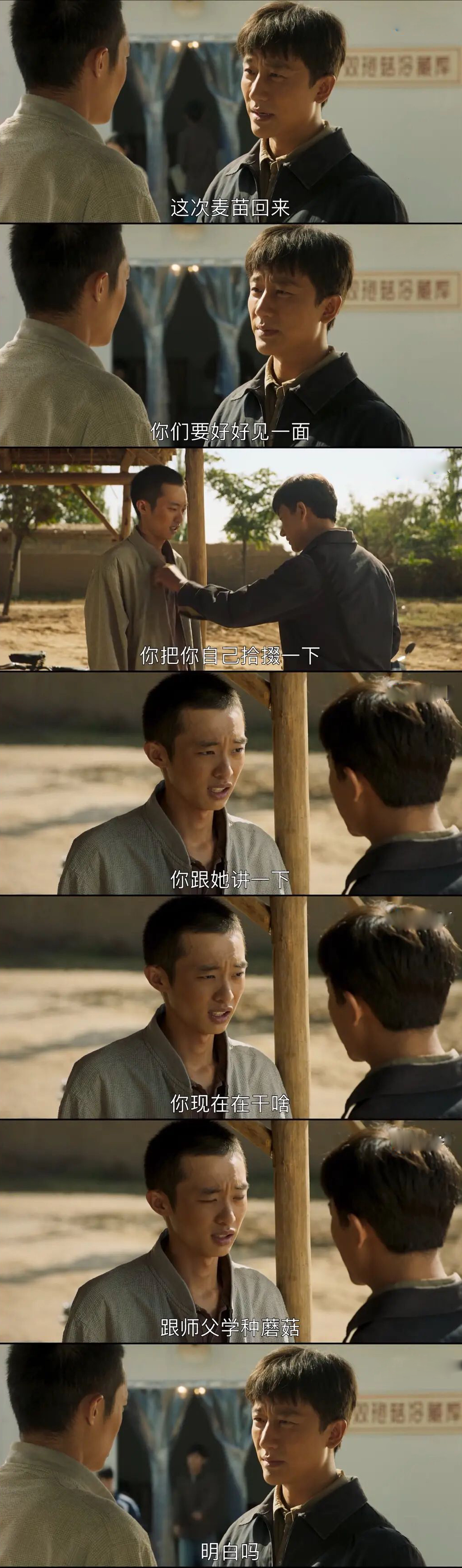 山海情的追剧心得,山海情电视剧感言