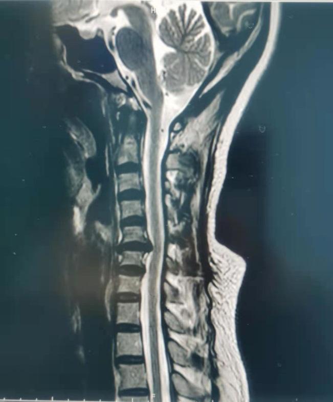 妙手神针医百病,妙手神针治百病医术精湛