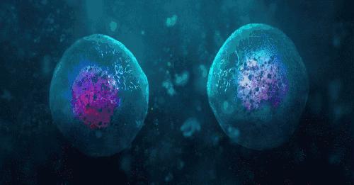 科技之春健康科普,科技之春科普文章