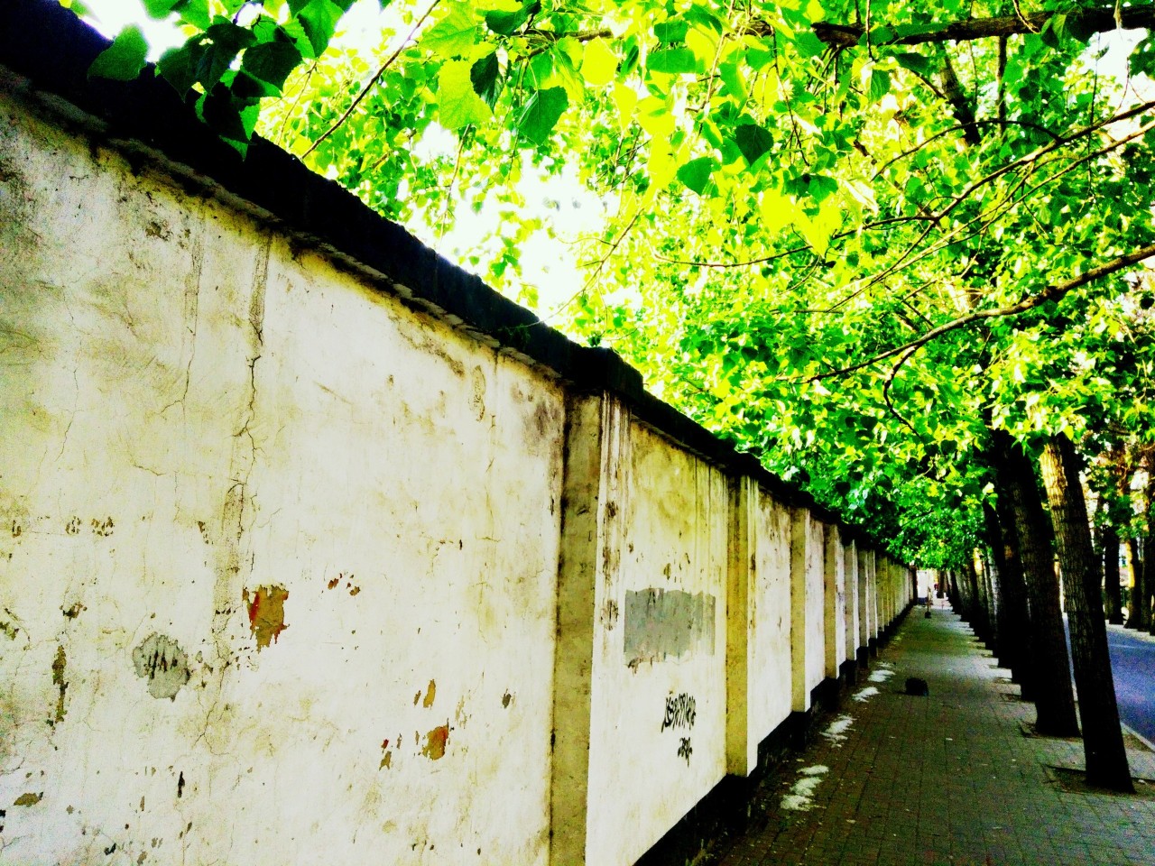 春暖花开等风等雨也等你诗词,10首最美秋夜诗词