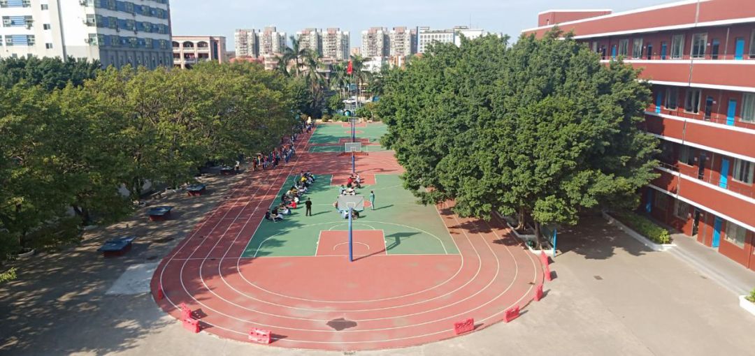 东莞公办好学校来几所,来看看大家眼中的学校
