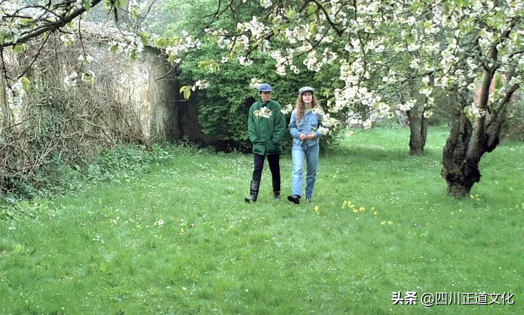 值得看的电影春天,春天的电影名字