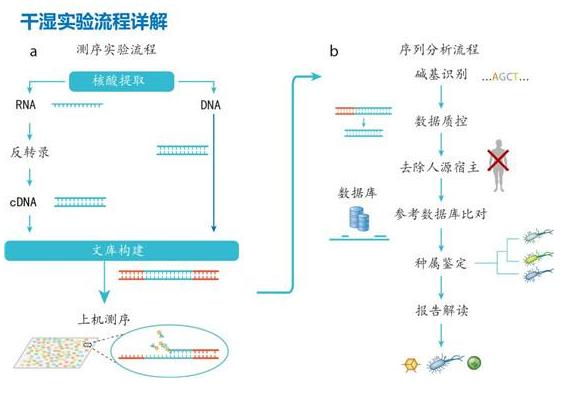 核酸检测pcr的方法,pcr核酸检测技术结果分析