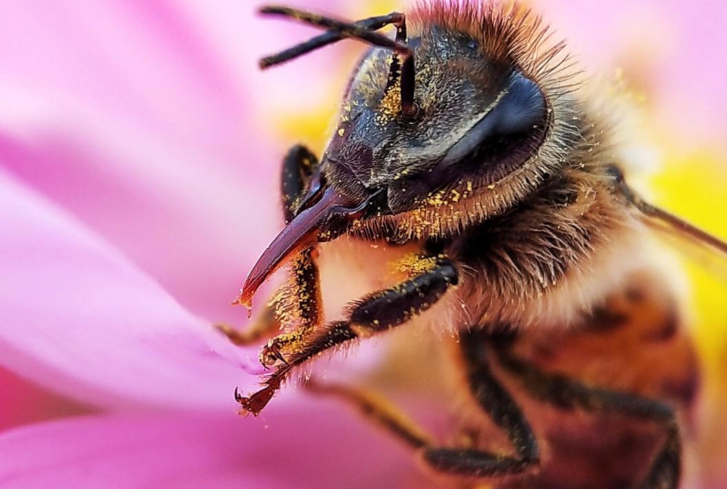 手机云台稳定器360度智能跟拍神器,教你用手机拍出摄影大师的照片