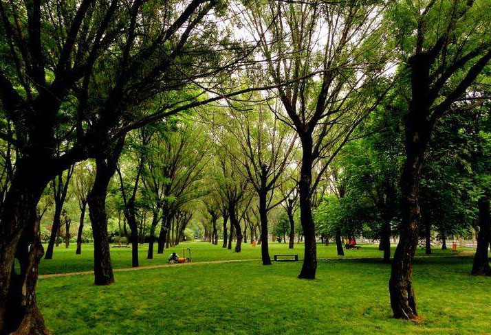 郑州十大免费官方场馆,郑州好玩的地方大型游乐场