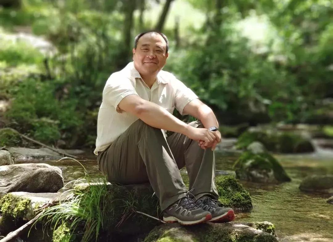 莱赛尔天丝和纯棉哪个面料好,天丝莱赛尔纤维是什么样的