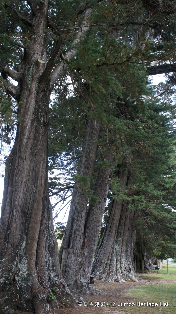 第29回：名校毕业风光不再，穹顶之下天空湛蓝