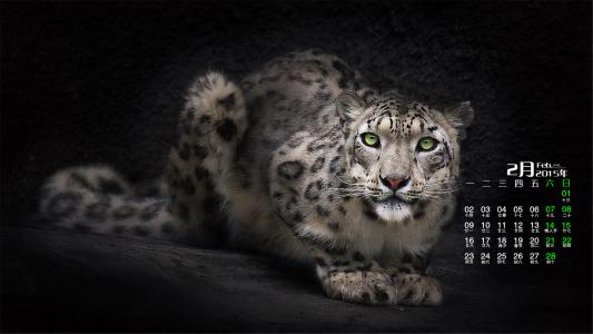 ps抠图教学ps零基础入门,ps教程从入门到精通ps