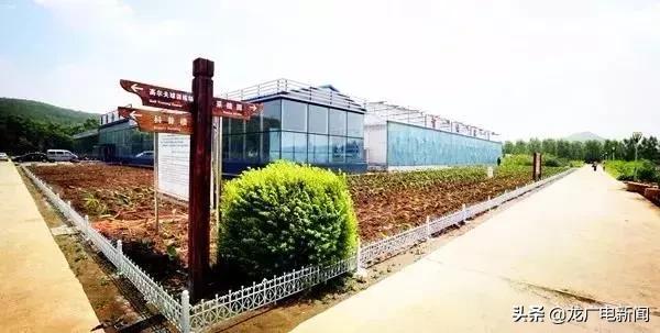 黑龙江省优秀高中学校,黑龙江省冲击双一流学校名单