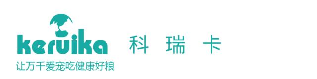 猫咪白天在家做什么,猫咪白天上班怎么样养