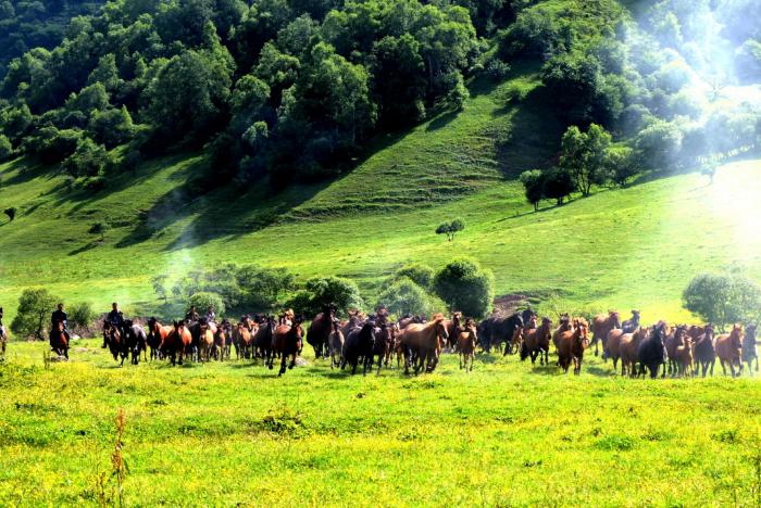 宝鸡夏日避暑好去处,宝鸡周边的避暑胜地