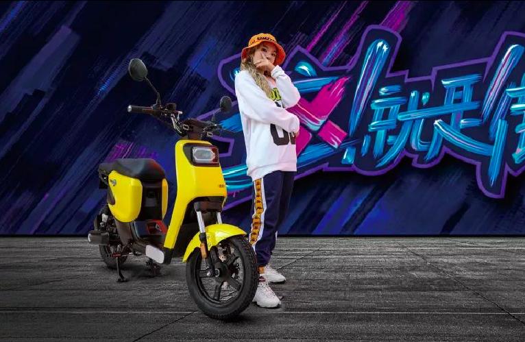 2021年绿源牌电动车型号大全,2500左右最值得买的绿源电动车