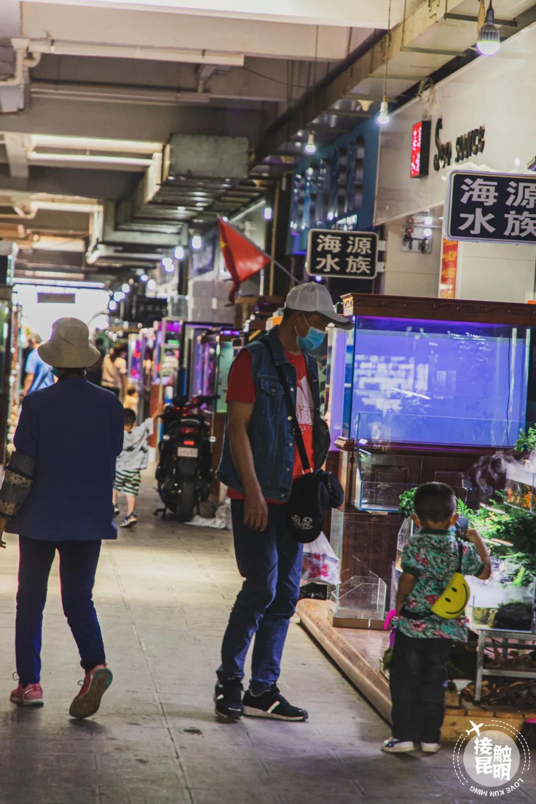 逛花卉市场赏心悦目,逛花鸟市场的快乐