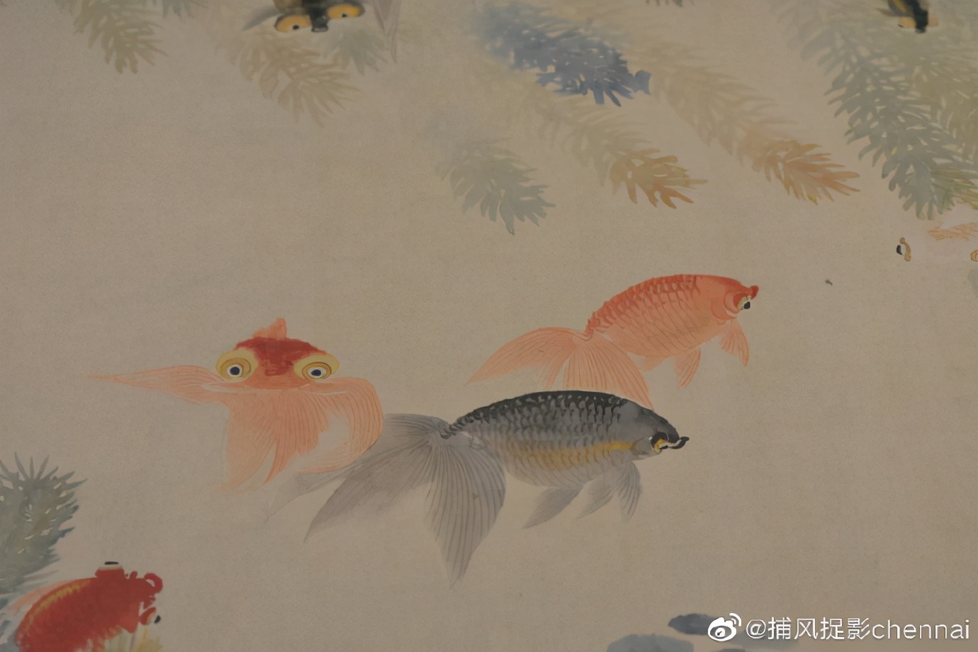 金鱼展和金鱼题材*物文**展