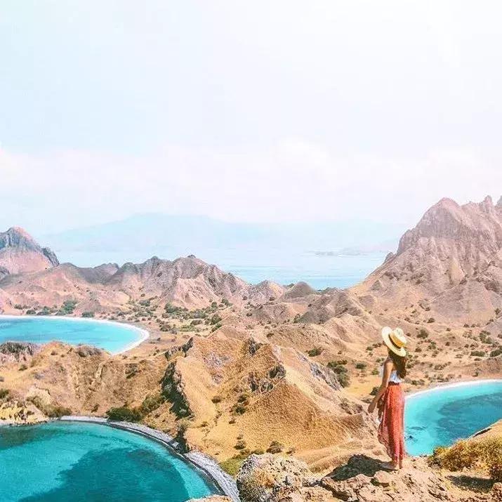 亚航为什么可以提供廉价的机票,亚航特价机票最新消息