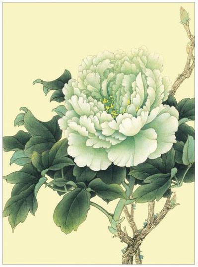 工笔牡丹勾线画法,工笔牡丹十二品设色步骤