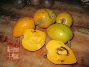 世界稀奇水果品种大全,世界热带奇特水果品种介绍