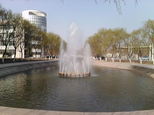 山东省聊城高校最新排名,山东十六市大学排名