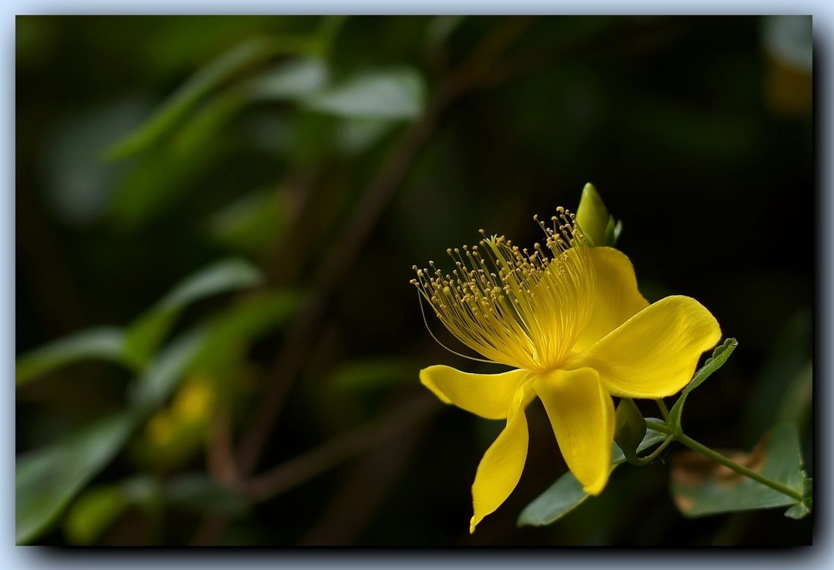 ps教程3,ps教程3步解决照片偏黄