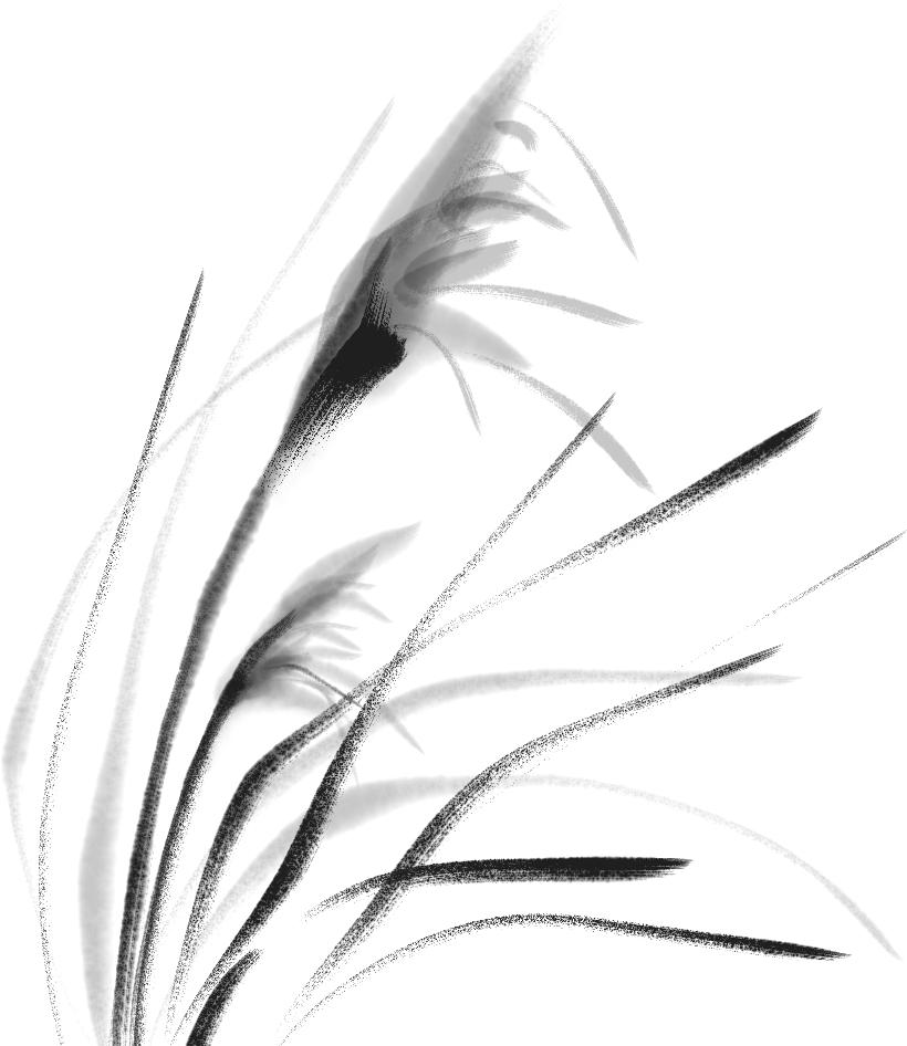 楚楚普法最新进展,楚楚的妈妈被关进监狱了