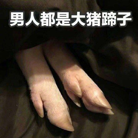 果然男人都是大猪蹄子什么意思,为什么女生都说男人都是大猪蹄子
