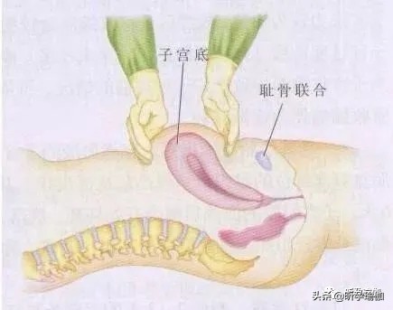 产后子宫恢复重要吗,产后喂母乳可以促进子宫恢复吗