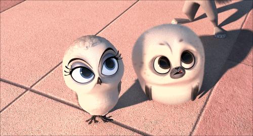 爸妈朋友圈总结,爸妈朋友圈的十大谣言