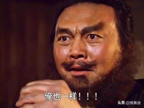 康凯演戏,康凯演的猛将为什么老被观众骂