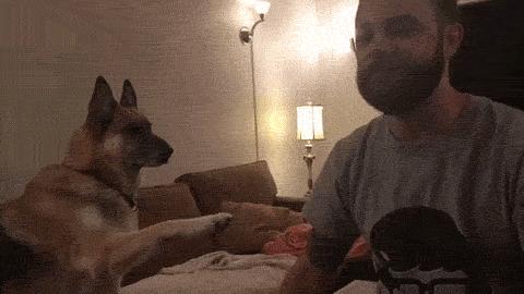 空中一字马搞笑图,一个突如其来的一字马