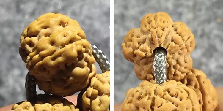 小金刚菩提梅花纹路什么价位,小金刚菩提什么纹路的最好