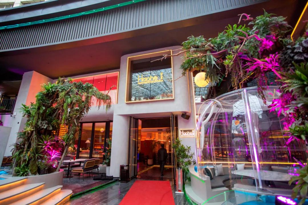 绵阳网红打卡酒馆,绵阳美食网红打卡地露天