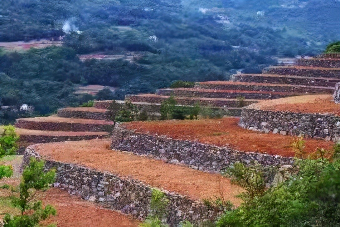 柯道士身世之谜浅析