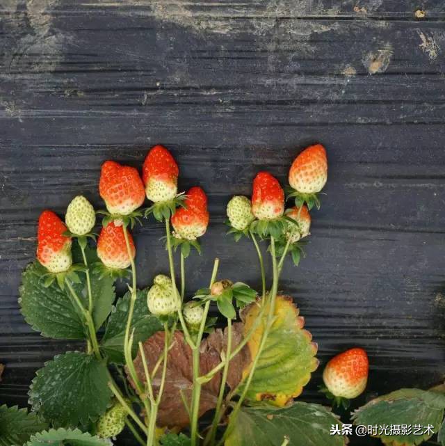 手机摄影人像创意作品教程,手机拍摄光影的艺术教程