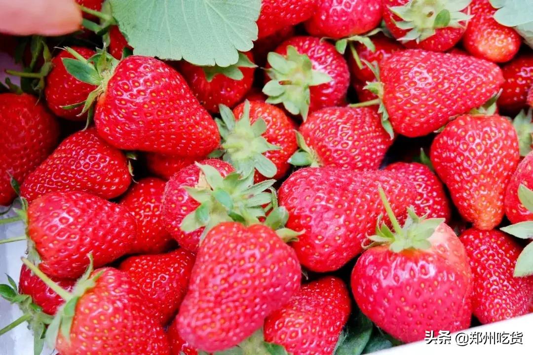 郑州各大批发市场一览表,河南郑州万邦国际农产品批发市场