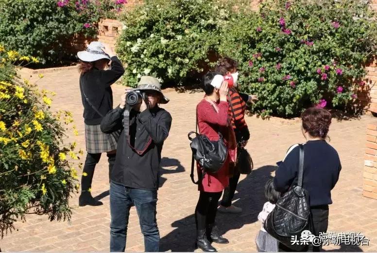 太热闹!弥勒花海、人海、车海、舞海...这些人上镜了!