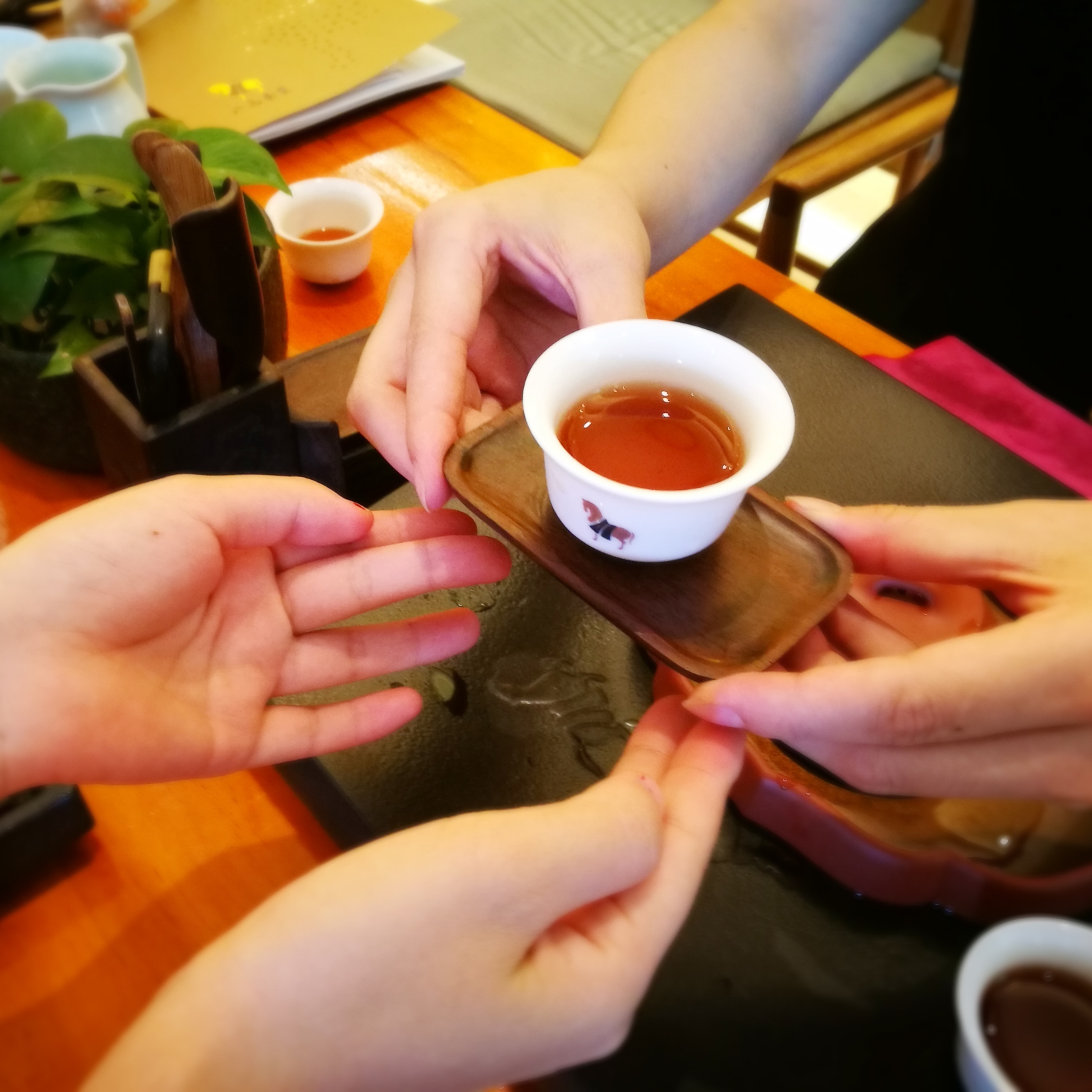 功夫红茶和工夫红茶区别,工夫红茶与其他红茶有什么区别