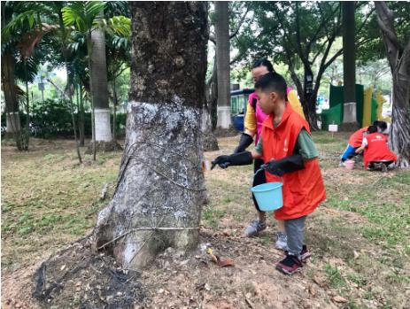番禺|桥南街开展“大小齐动手,大树换新装”社区美化活动