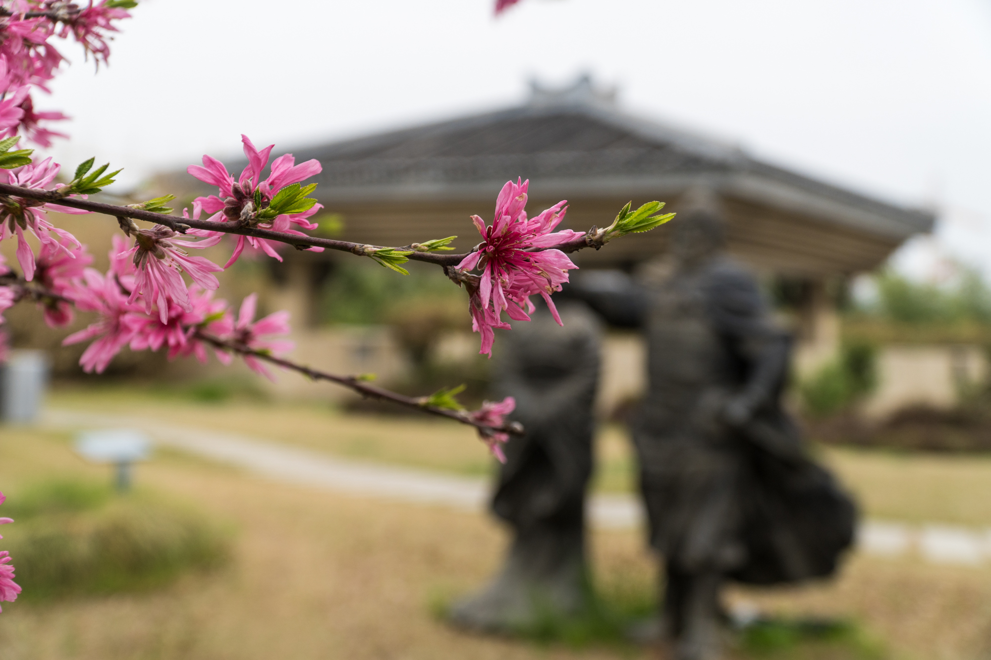 徐州周末郊游的好地方,徐州自然风光好去处