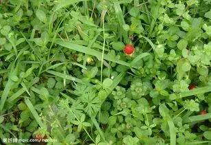 一段美好感情,一段美好的情感