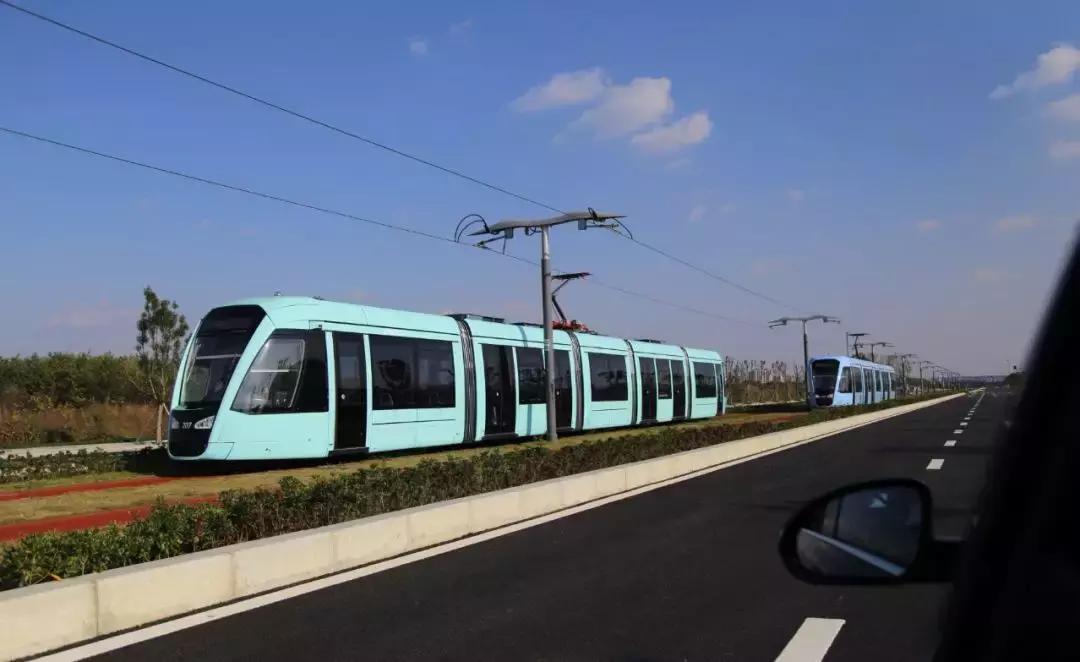 从蓉2来|天天看见“叮叮猫”跑来跑去的,它到底在忙什么啊?