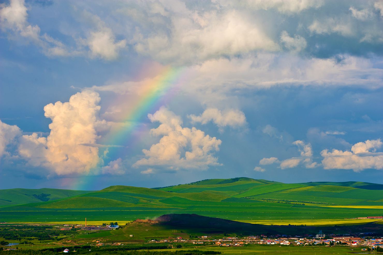 亚洲第一湿地额尔古纳游记,额尔古纳湿地野生观景点