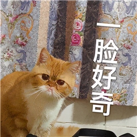 期待！肇庆市博物馆新馆即将开馆试运营！这些参观须知提前了解→