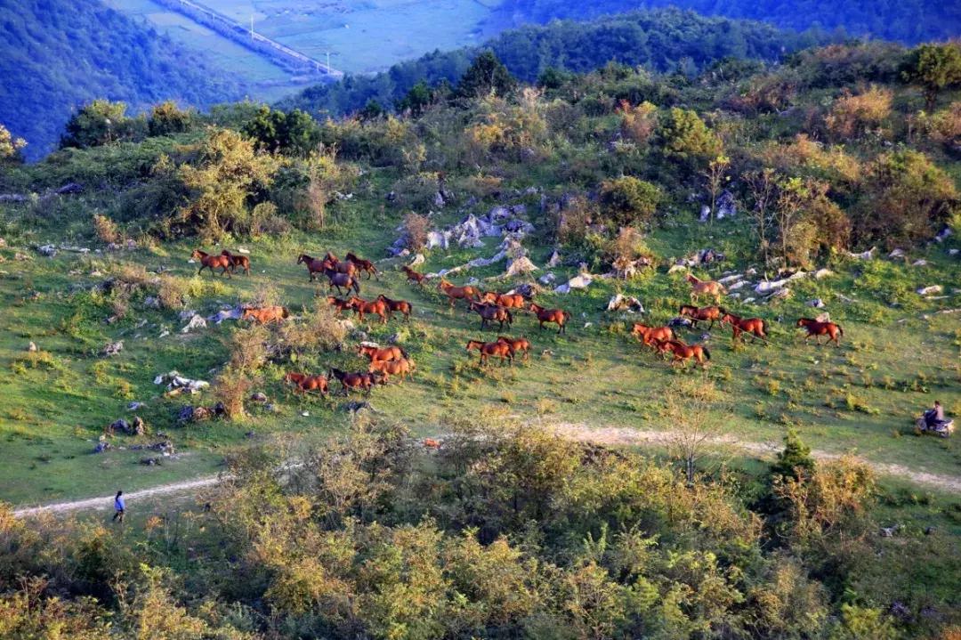 cnn评出中国40个最美的地方,cnn曾评出中国最美40个景点