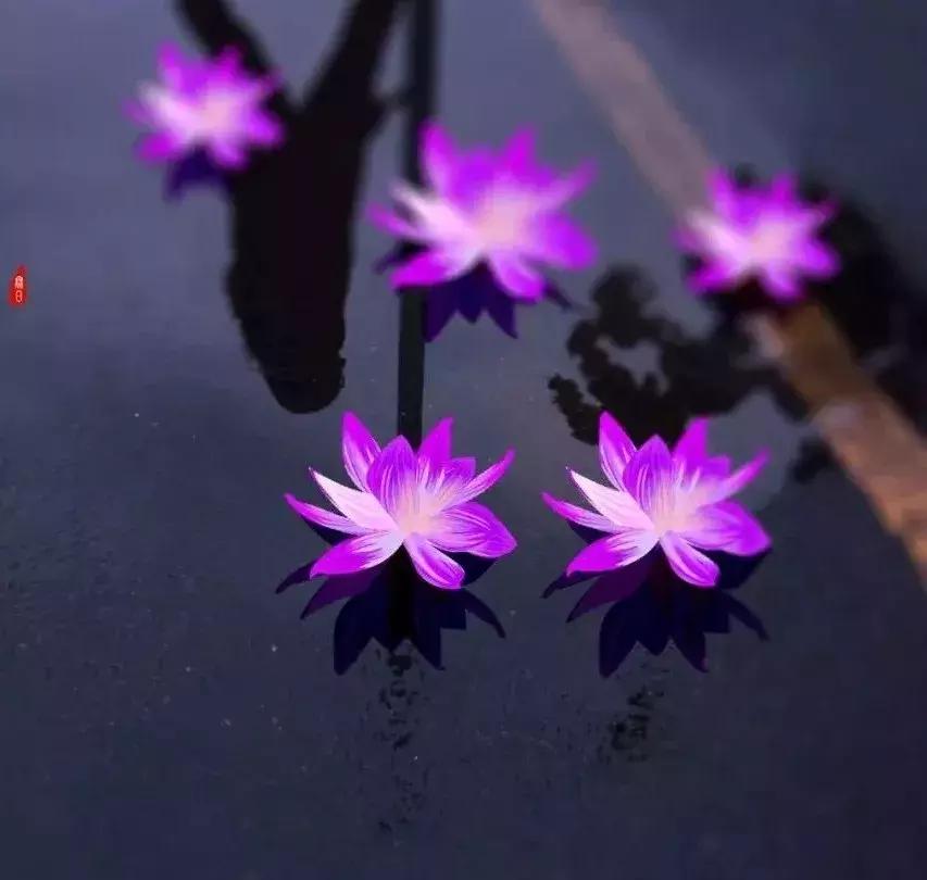 正在被遗忘的传统节日下元节,下元节是中国的传统节日吗