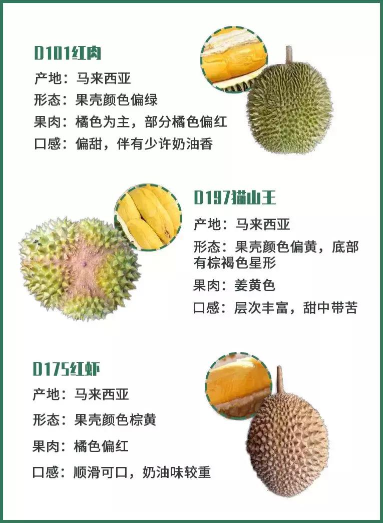 赌王派私人飞机买,蔡少芬怀孕也痴迷,凭啥它让*欲人**罢不能?